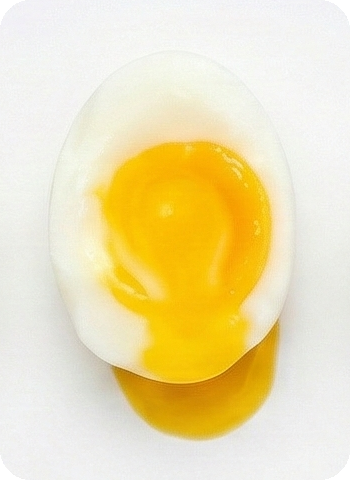 Egg at 61°C