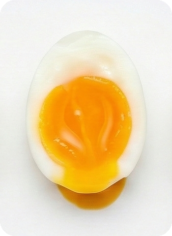 Egg at 63°C
