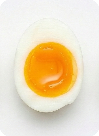 Egg at 64°C